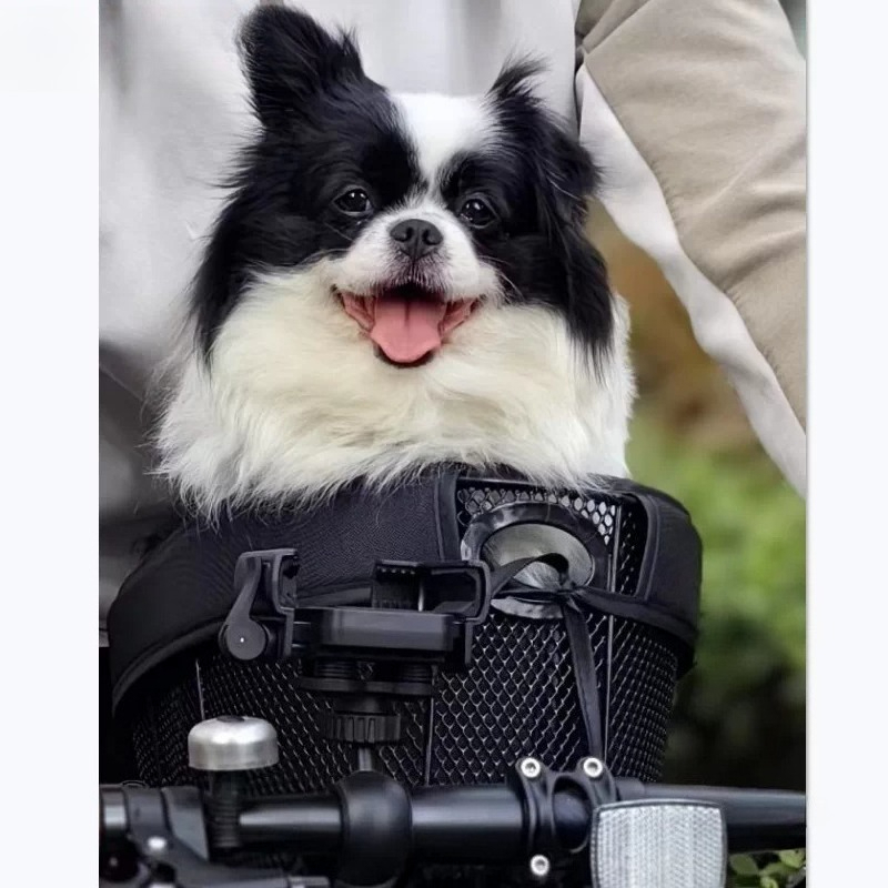 Faltbarer Fahrrad-Hundekorb, H – Mountain Biking With Dog Bewertung und Preis