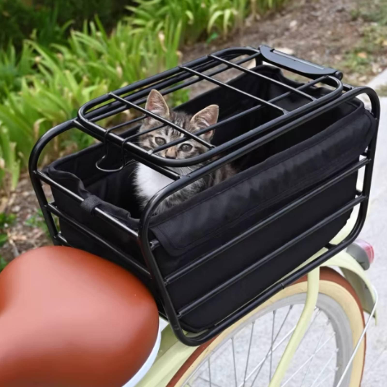 Fahrradkorb mit Hundegurt, Mou – Mountain Biking With Dog Bewertung und Preis