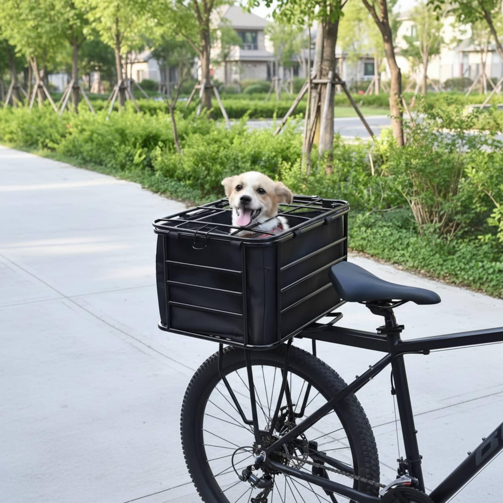 Fahrradkorb mit Hundegurt, Mou – Mountain Biking With Dog Bewertung und Preis