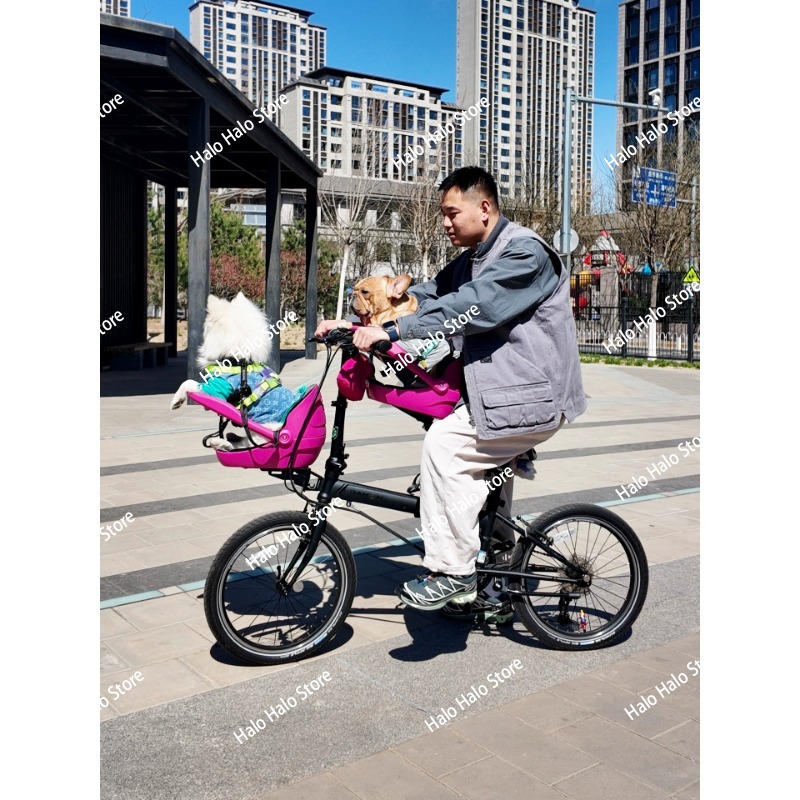 Geeignet für kleine Stoff-Klap – Mountain Biking With Dog Bewertung und Preis